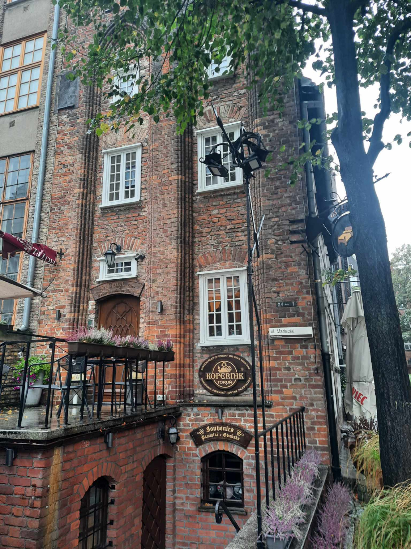 image_110.jpg