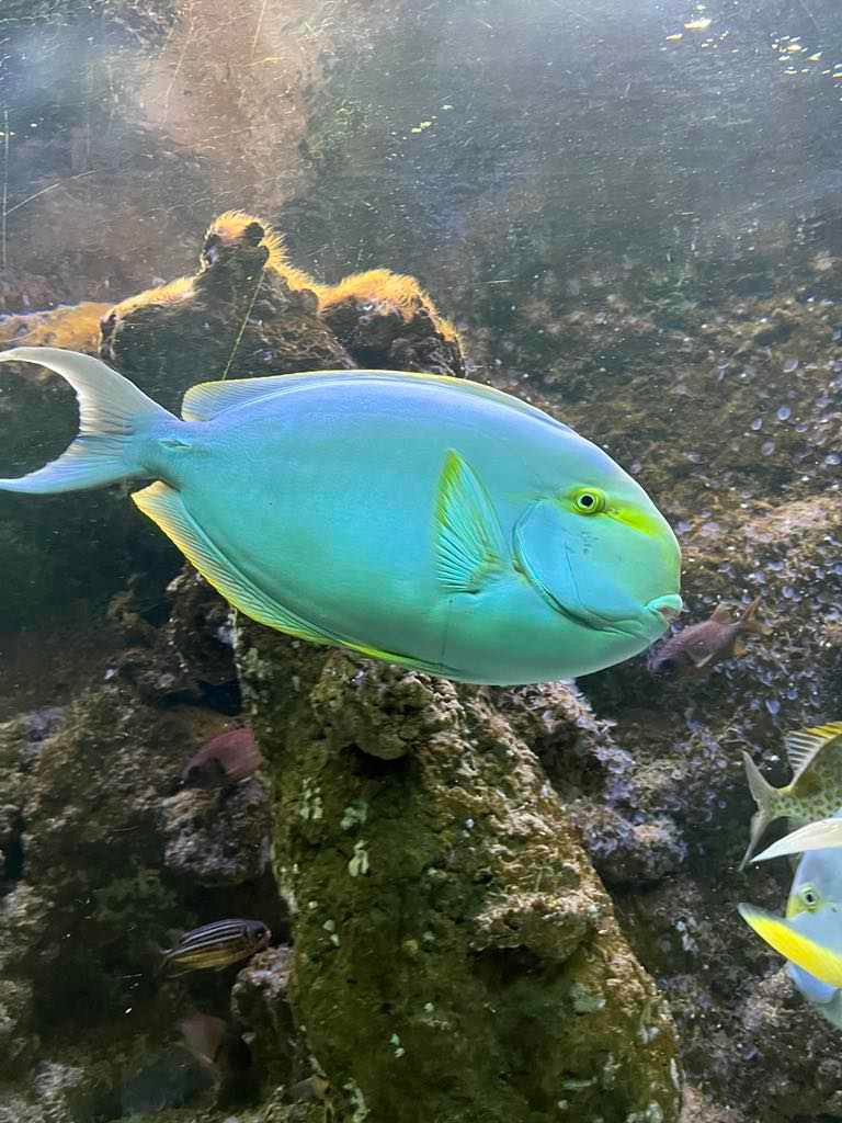 image_019.jpg