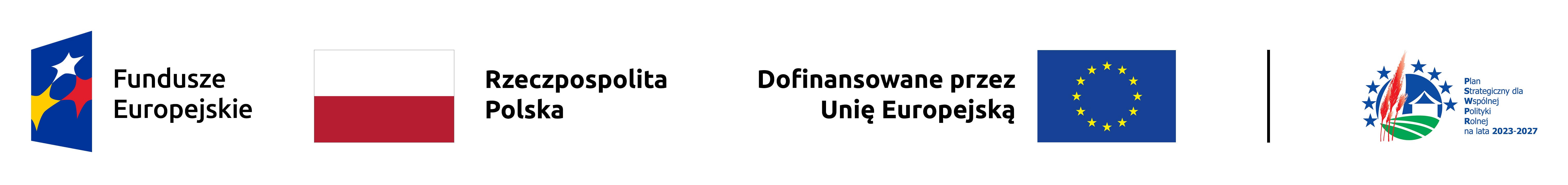 Informacja o realizowanej lokalnej strategii rozwoju