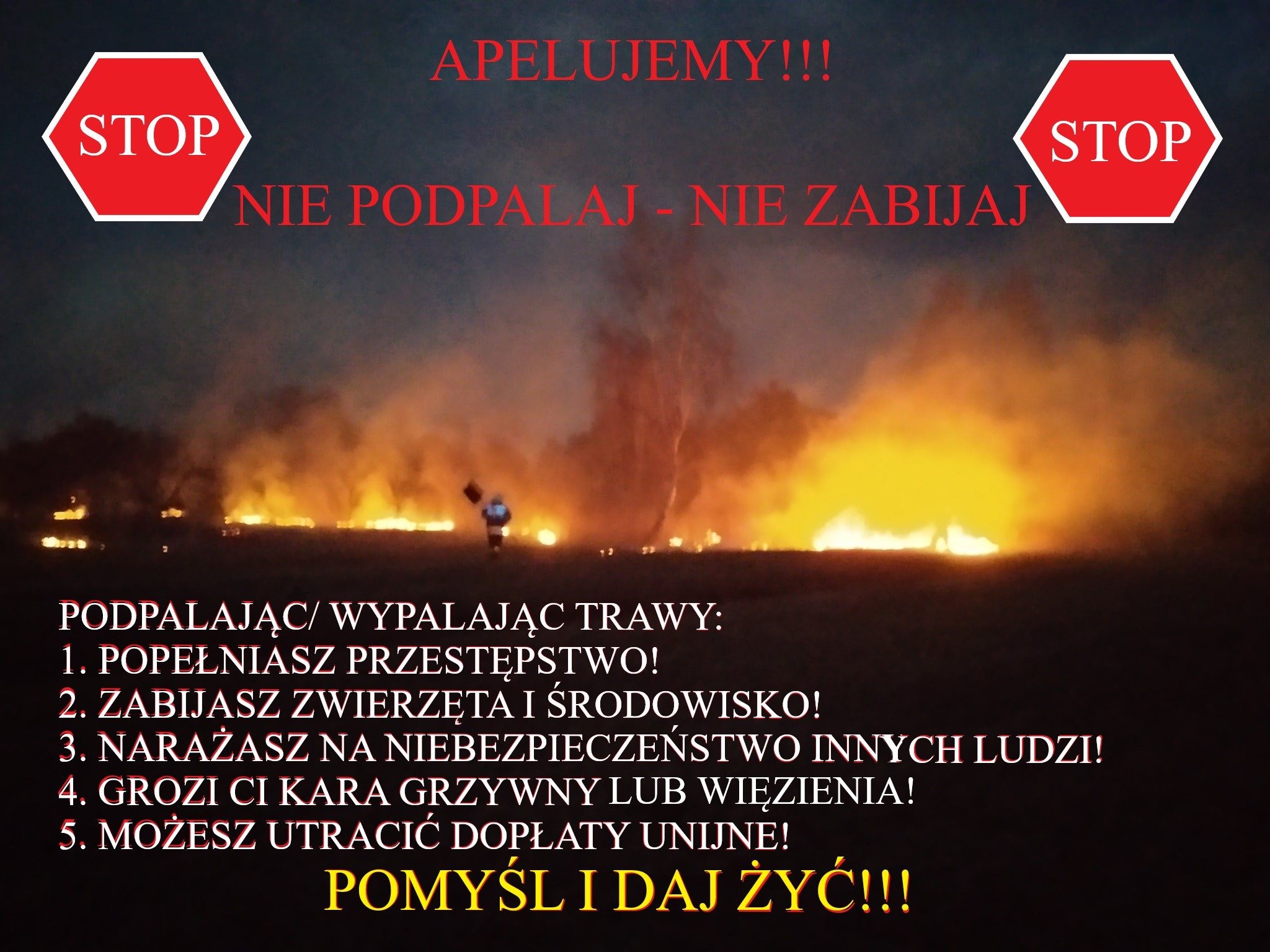 Nie wypalaj traw! 