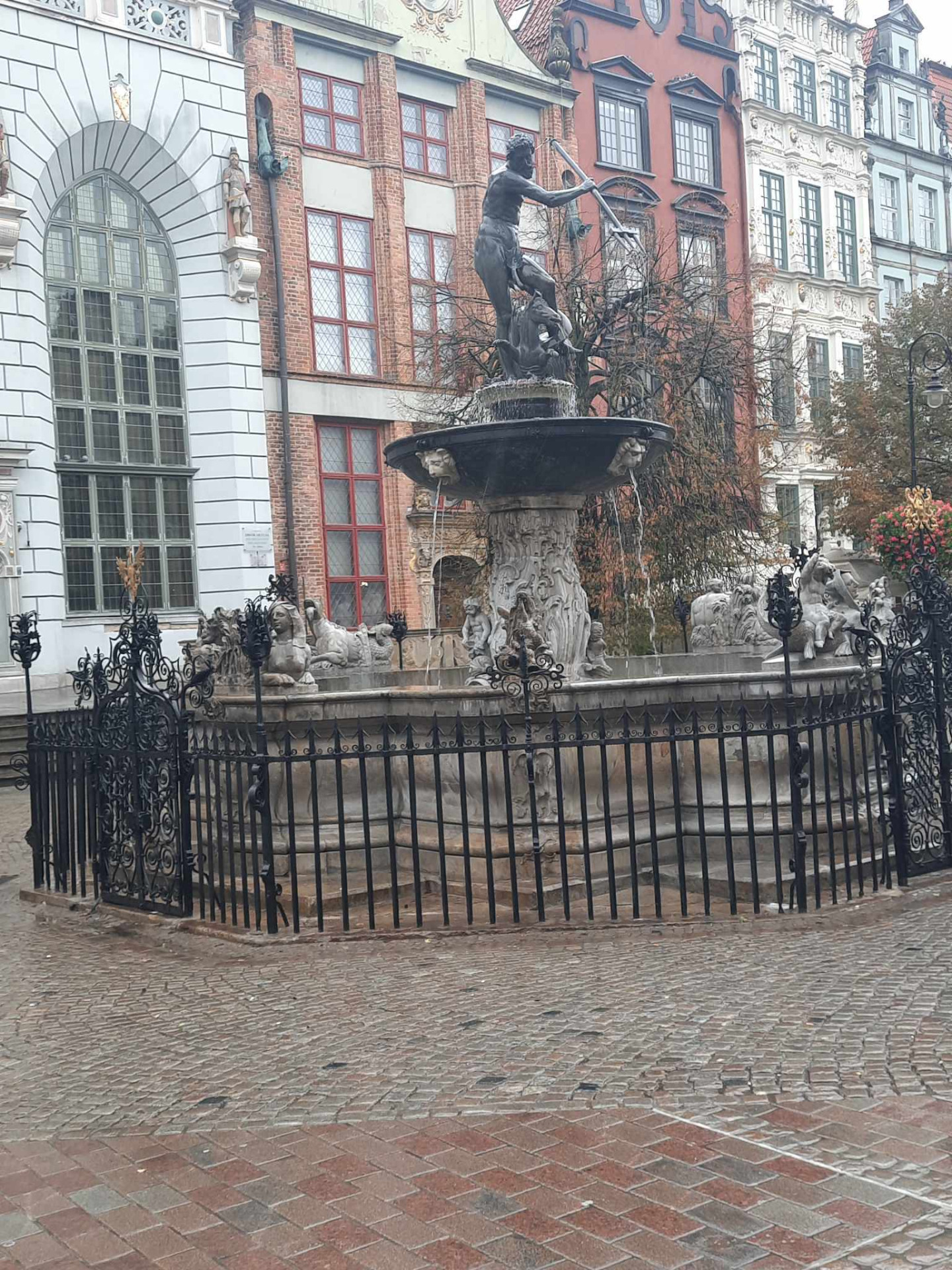 image_109.jpg