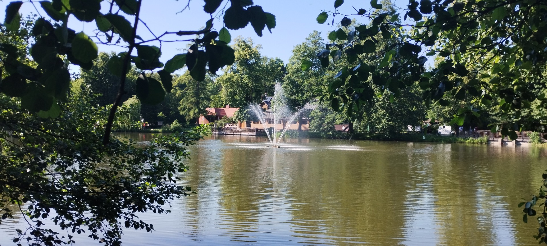 image_182.jpg