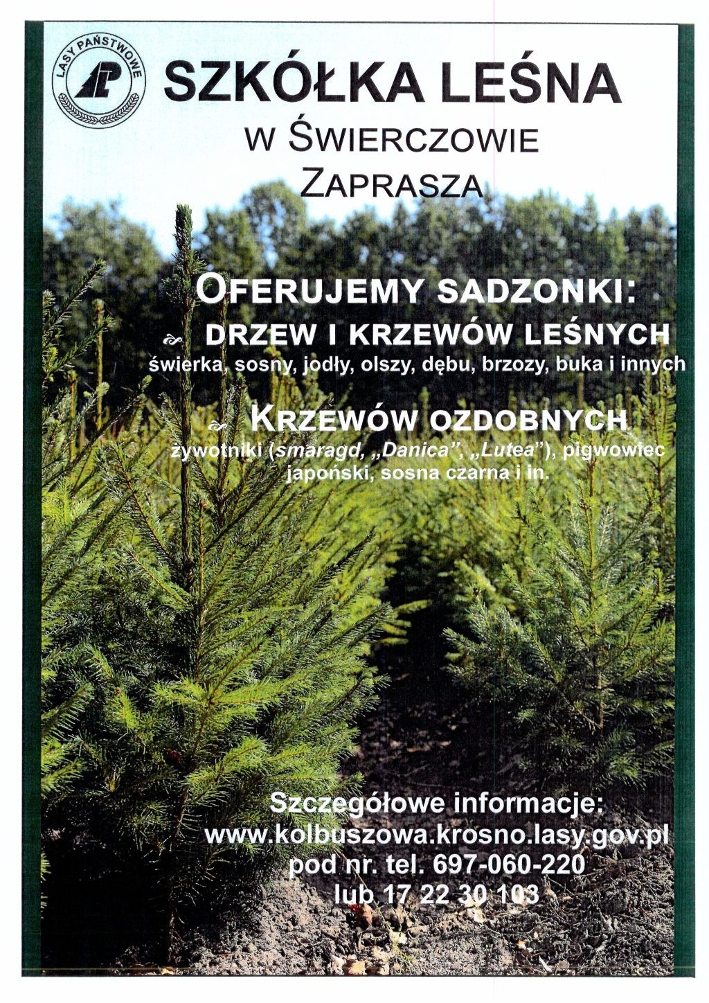 Sprzedaż sadzonek