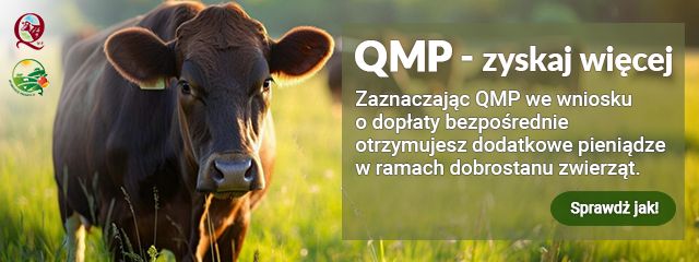 Ekoschemat „Dobrostan zwierząt” Dodatkowe pieniądze dla hodowców bydła z QMP – tylko do 16 czerwca!