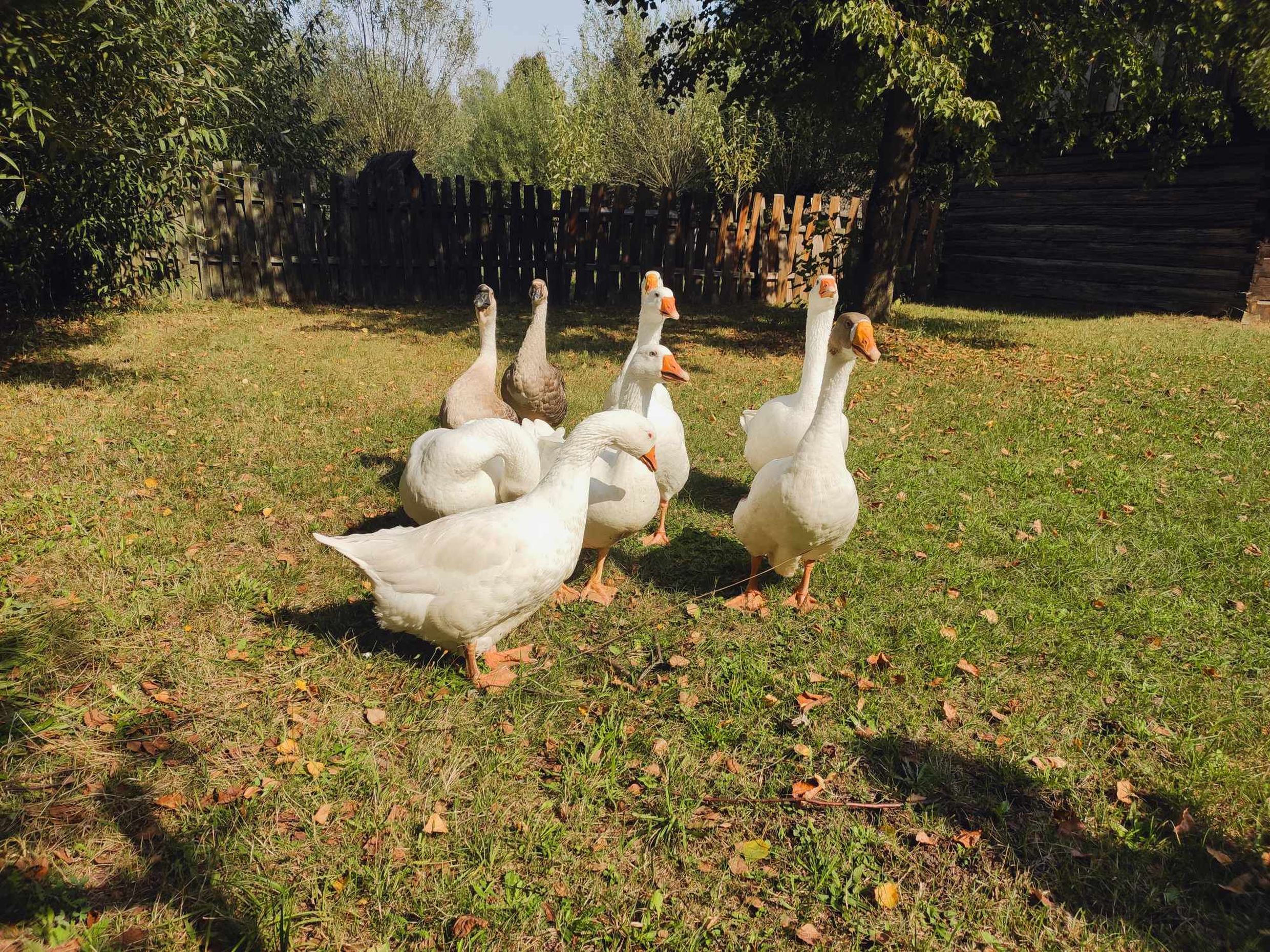 image004.jpg