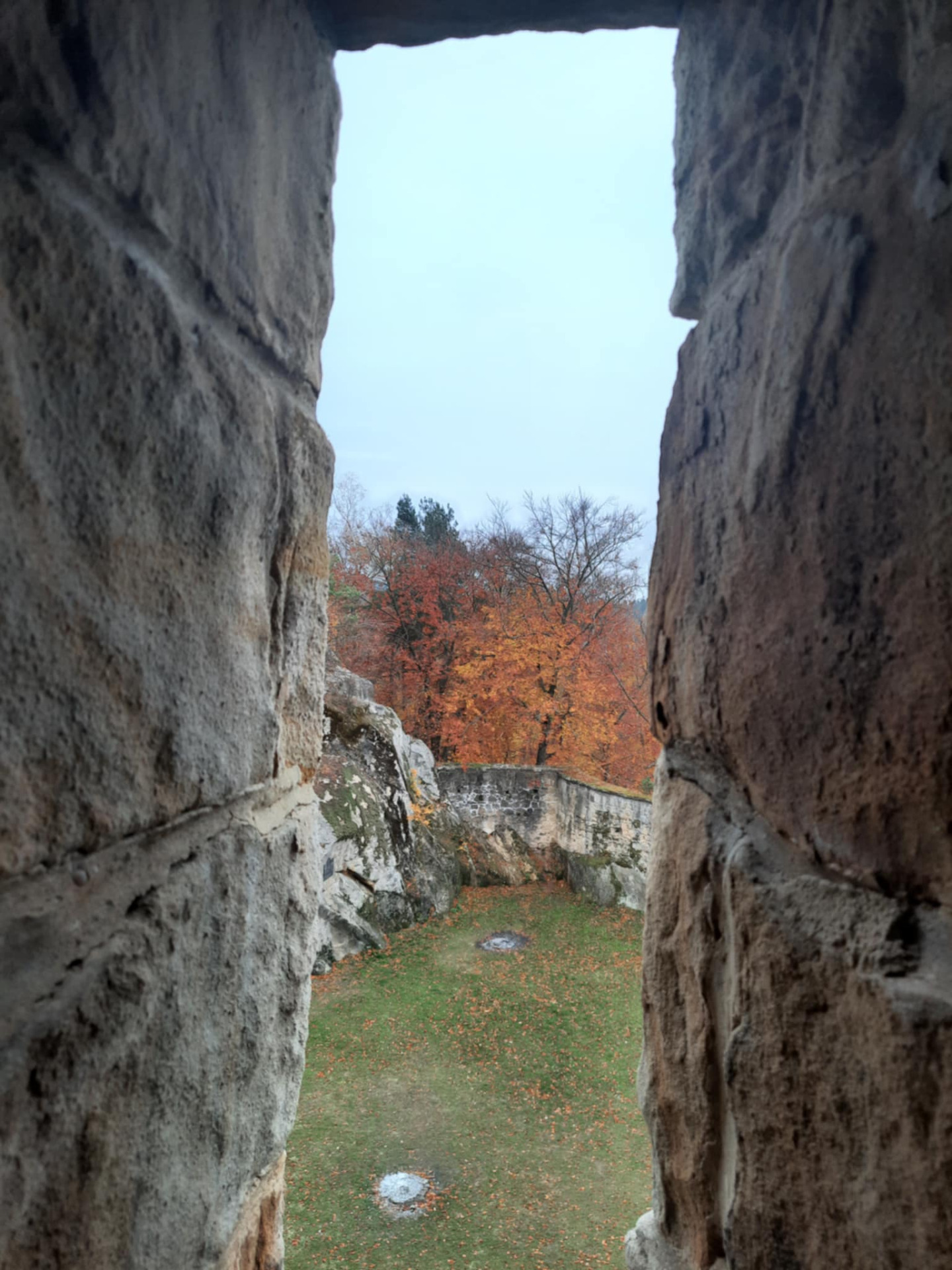 image_036.jpg