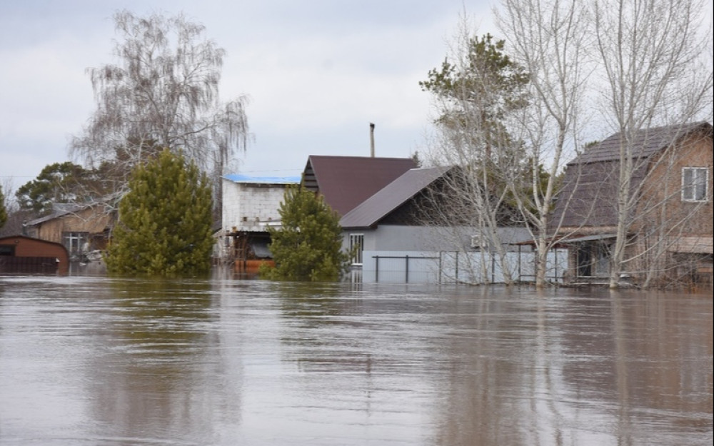 Zbiórka artykułów dla osób dotkniętych powodzią