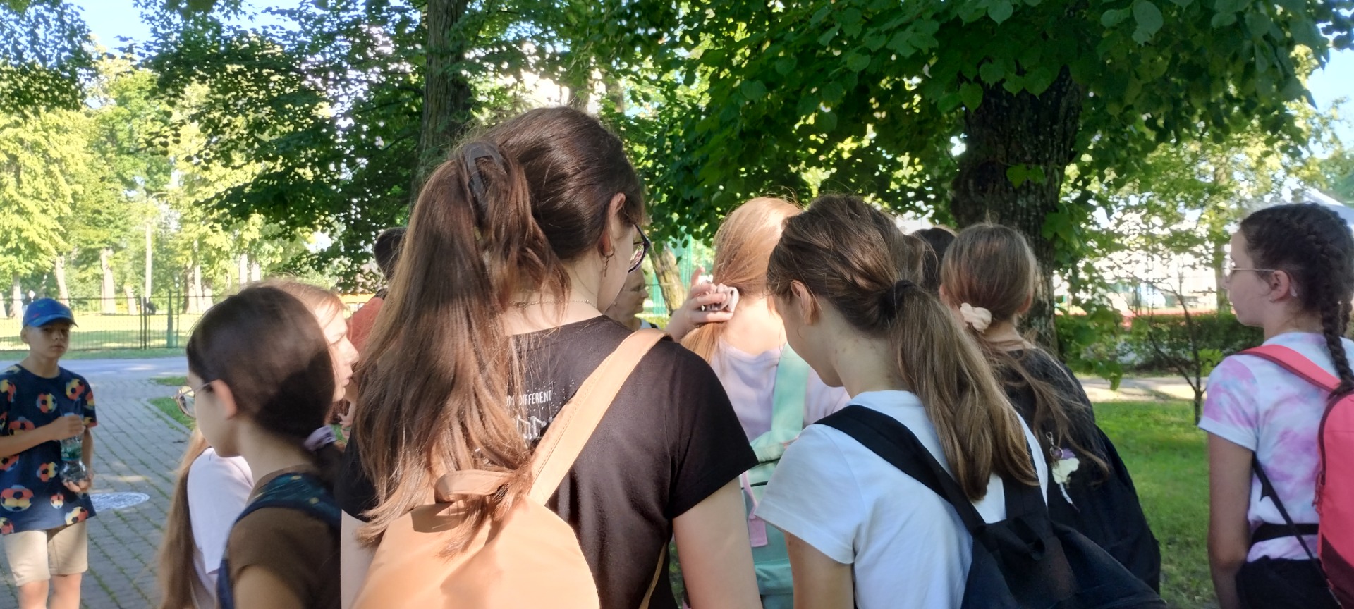 image_165.jpg