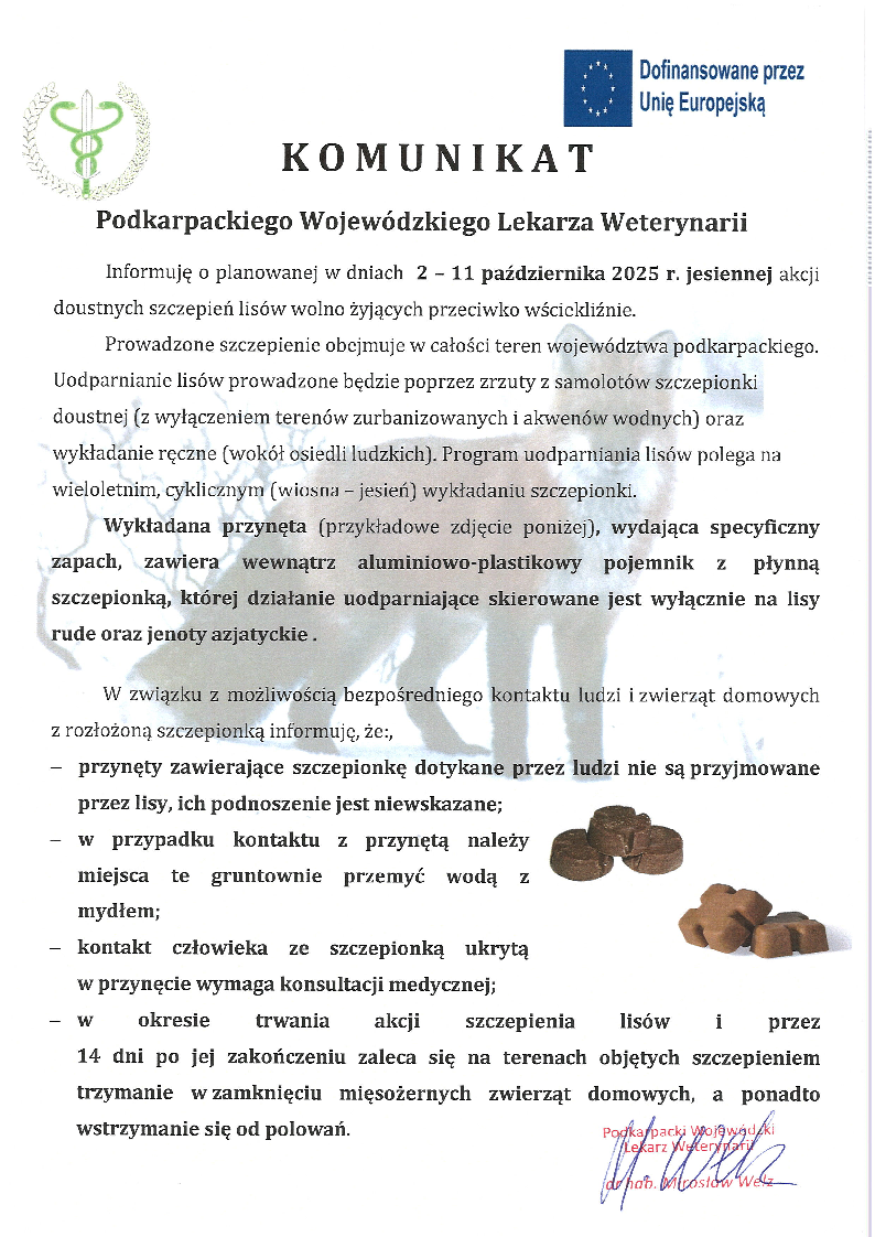 Szczepienia lisów przeciwko wściekliźnie