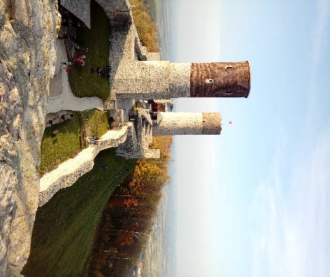 image_004.jpg