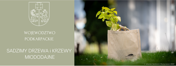 Wzbogacamy przyrodę Podkarpacia