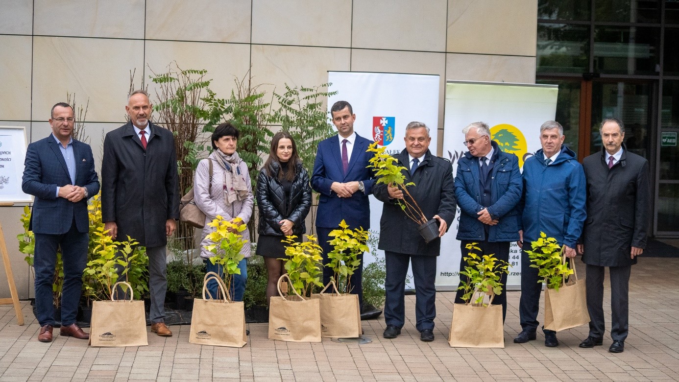 Sadzenie drzew i krzewów miododajnych sposobem na ochronę bioróżnorodności w województwie podkarpackim